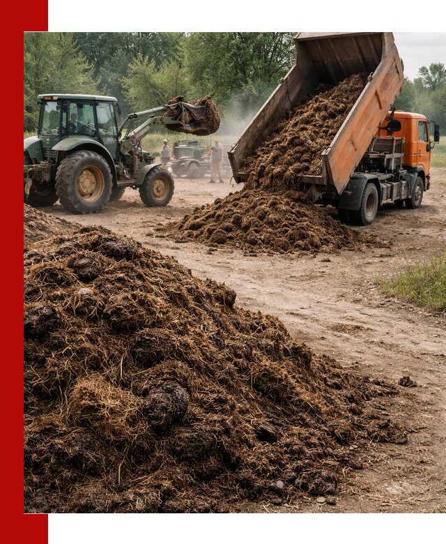 Доставка навоза самосвалами в Чебоксарах для сельхозпотребностей